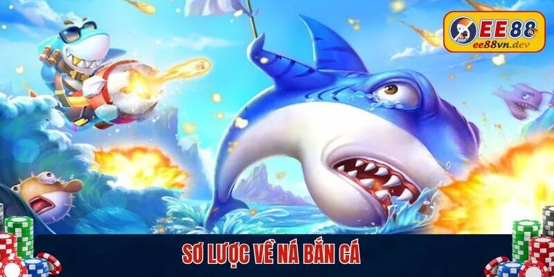 Sơ lược về ná bắn cá